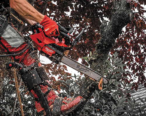 Top handle chainsaw